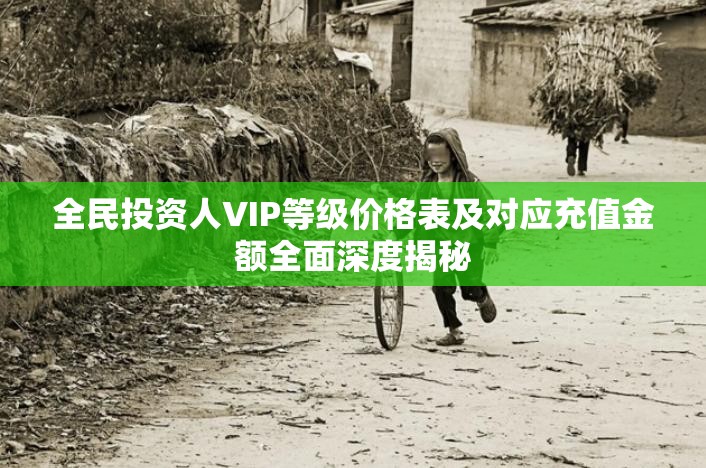 全民投资人VIP等级价格表及对应充值金额全面深度揭秘