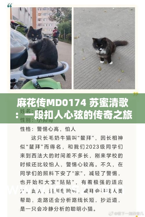 麻花传MD0174 苏蜜清歌：一段扣人心弦的传奇之旅