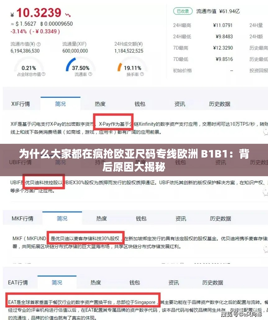 为什么大家都在疯抢欧亚尺码专线欧洲 B1B1：背后原因大揭秘