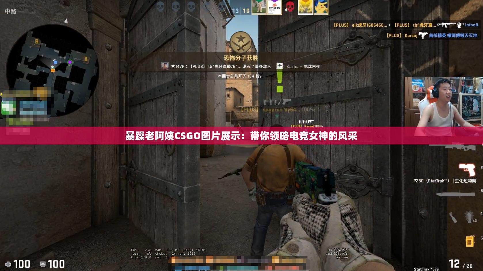 暴躁老阿姨CSGO图片展示：带你领略电竞女神的风采