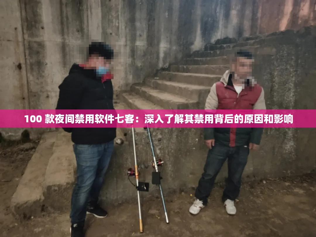 100 款夜间禁用软件七客：深入了解其禁用背后的原因和影响