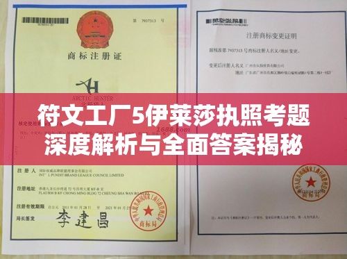 符文工厂5伊莱莎执照考题深度解析与全面答案揭秘攻略