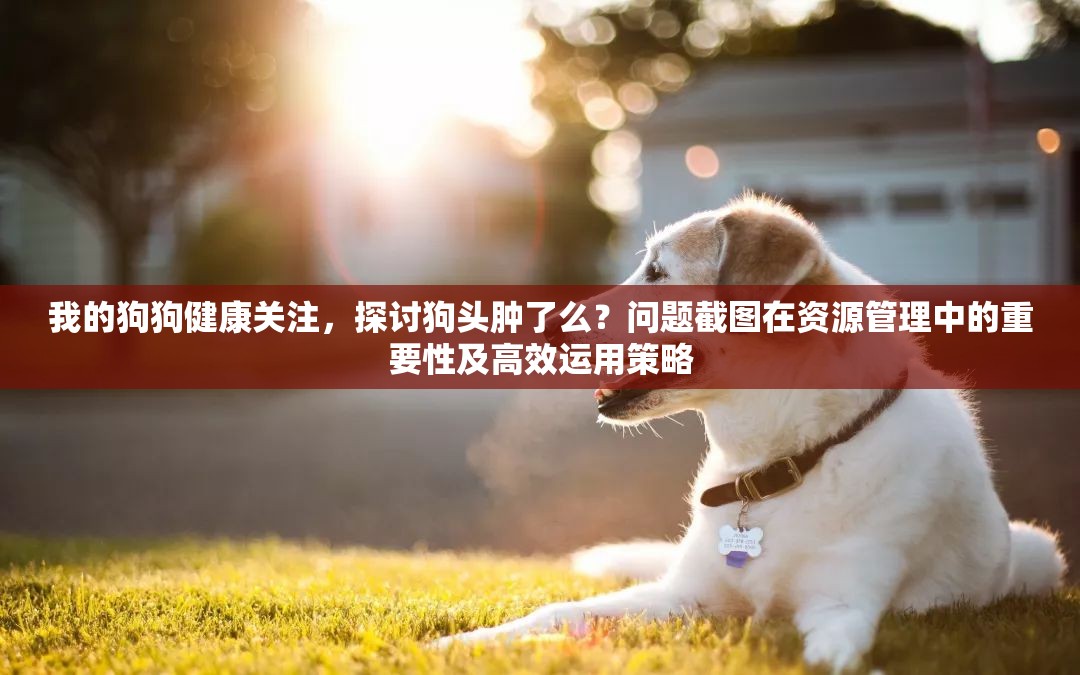 我的狗狗健康关注，探讨狗头肿了么？问题截图在资源管理中的重要性及高效运用策略