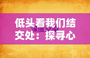 低头看我们结交处：探寻心灵交汇的温暖与深度