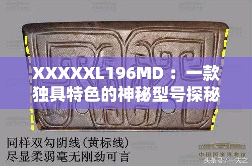 XXXXXL196MD ：一款独具特色的神秘型号探秘