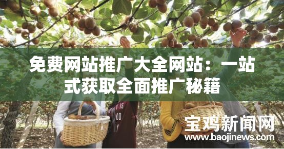 免费网站推广大全网站：一站式获取全面推广秘籍