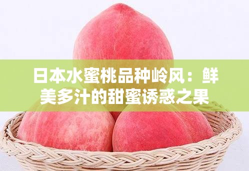 日本水蜜桃品种岭风：鲜美多汁的甜蜜诱惑之果