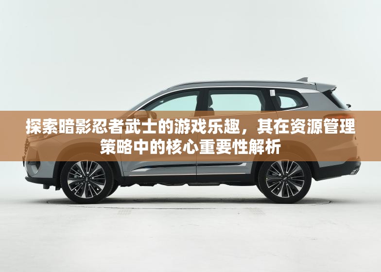 探索暗影忍者武士的游戏乐趣，其在资源管理策略中的核心重要性解析