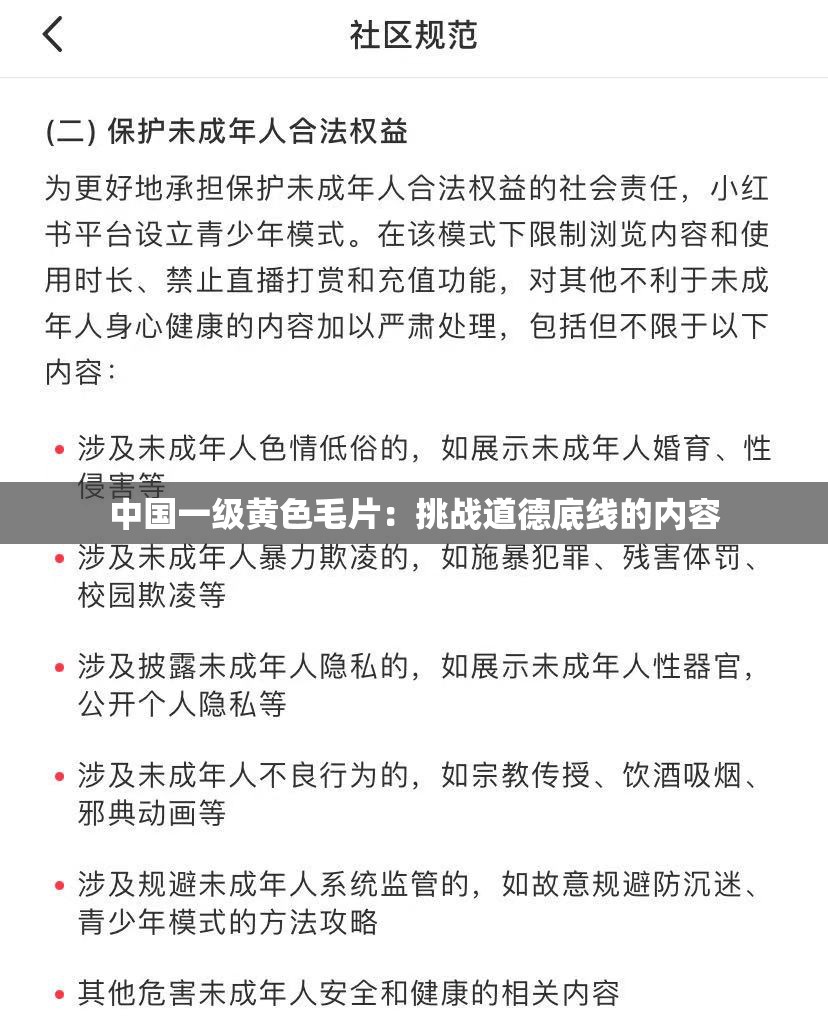中国一级黄色毛片：挑战道德底线的内容
