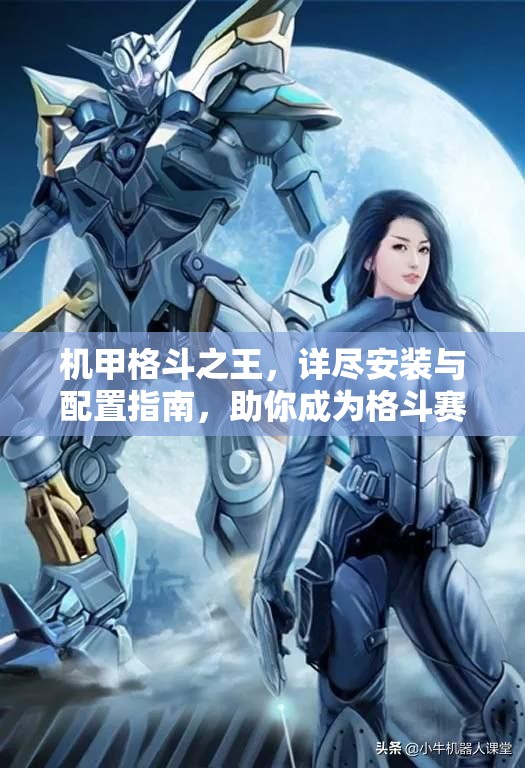 机甲格斗之王，详尽安装与配置指南，助你成为格斗赛场之王