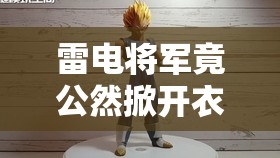 雷电将军竟公然掀开衣服看副乳引热议