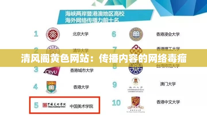清风阁黄色网站：传播内容的网络毒瘤