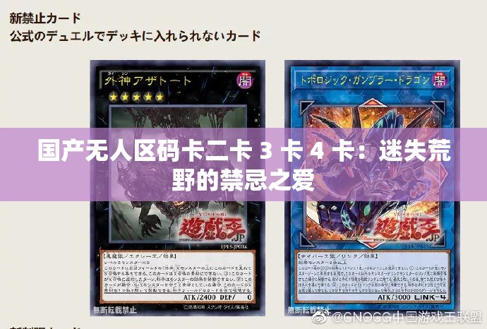 国产无人区码卡二卡 3 卡 4 卡：迷失荒野的禁忌之爱