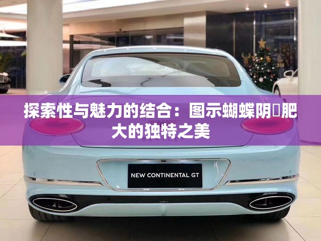 探索性与魅力的结合：图示蝴蝶阴脣肥大的独特之美