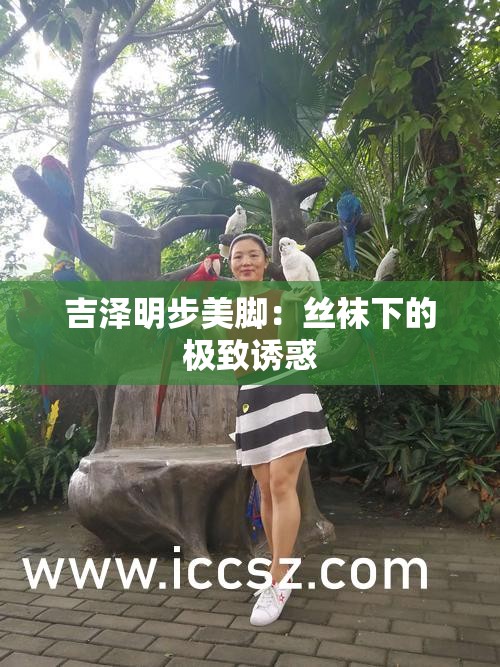 吉泽明步美脚：丝袜下的极致诱惑