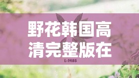 野花韩国高清完整版在线视频：带你领略独特的视觉盛宴