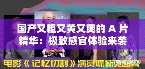 国产又粗又黄又爽的 A 片精华：极致感官体验来袭