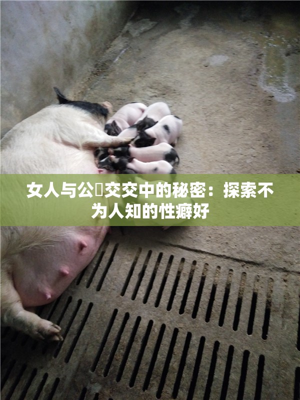 女人与公豬交交中的秘密：探索不为人知的性癖好