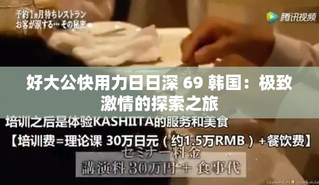 好大公快用力日日深 69 韩国：极致激情的探索之旅