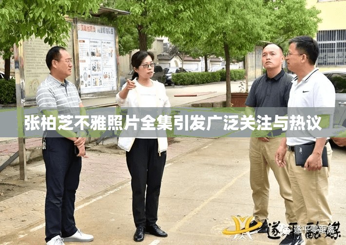 张柏芝不雅照片全集引发广泛关注与热议