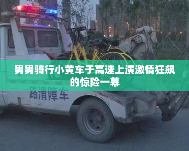 男男骑行小黄车于高速上演激情狂飙的惊险一幕