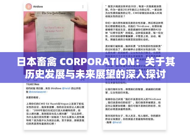 日本畜禽 CORPORATION：关于其历史发展与未来展望的深入探讨
