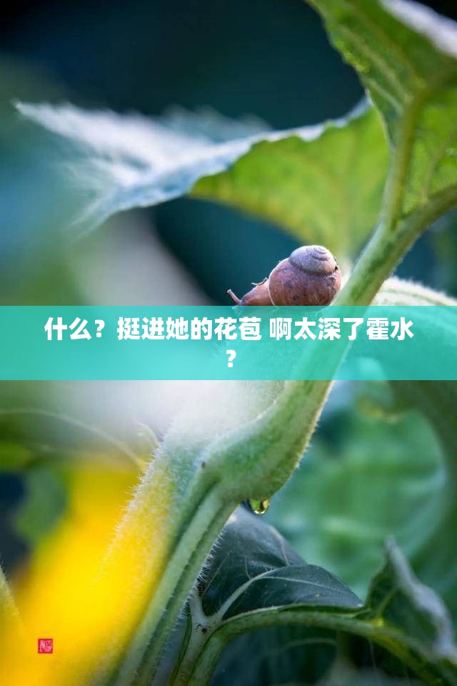 什么？挺进她的花苞 啊太深了霍水？