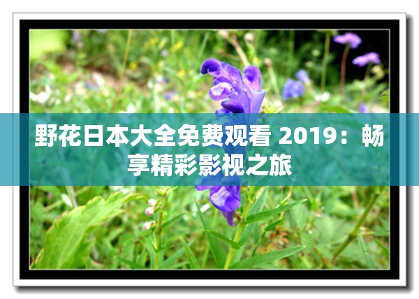 野花日本大全免费观看 2019：畅享精彩影视之旅