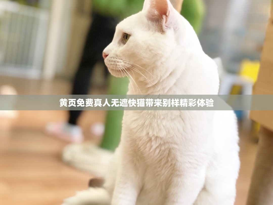 黄页免费真人无遮快猫带来别样精彩体验