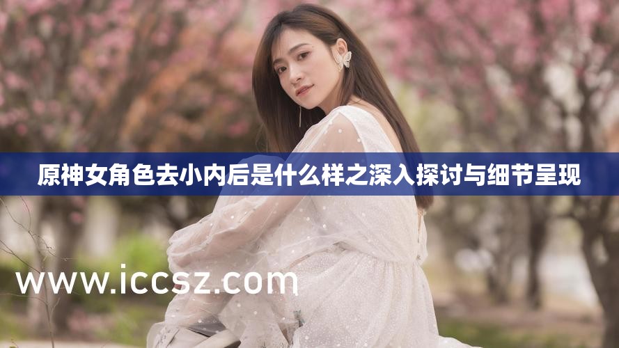 原神女角色去小内后是什么样之深入探讨与细节呈现