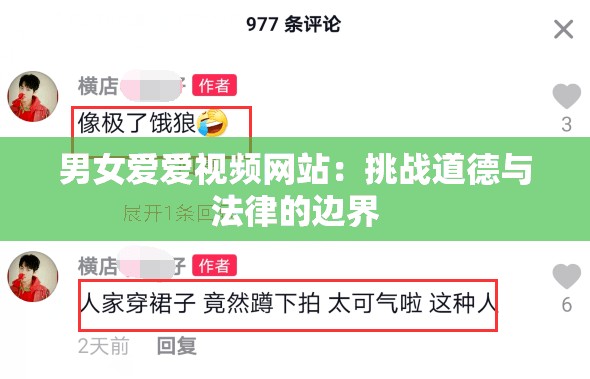 男女爱爱视频网站：挑战道德与法律的边界