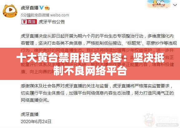 十大黄台禁用相关内容：坚决抵制不良网络平台