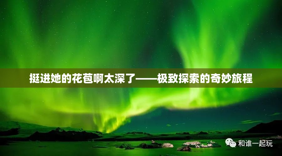 挺进她的花苞啊太深了——极致探索的奇妙旅程