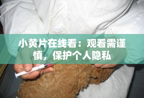 小黄片在线看：观看需谨慎，保护个人隐私