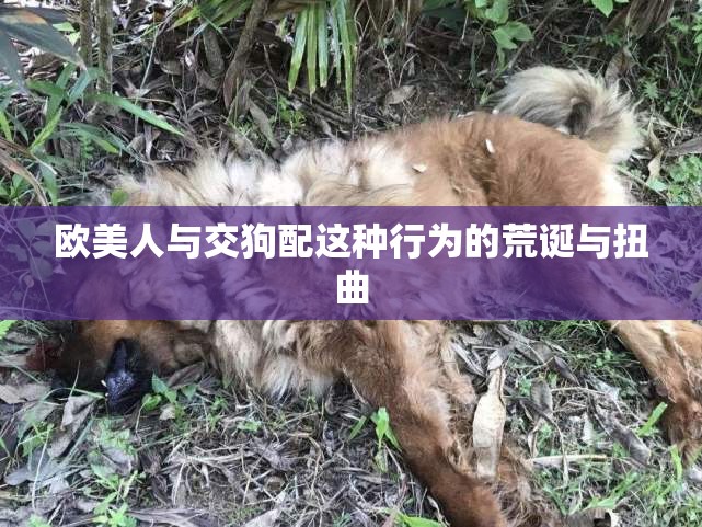 欧美人与交狗配这种行为的荒诞与扭曲