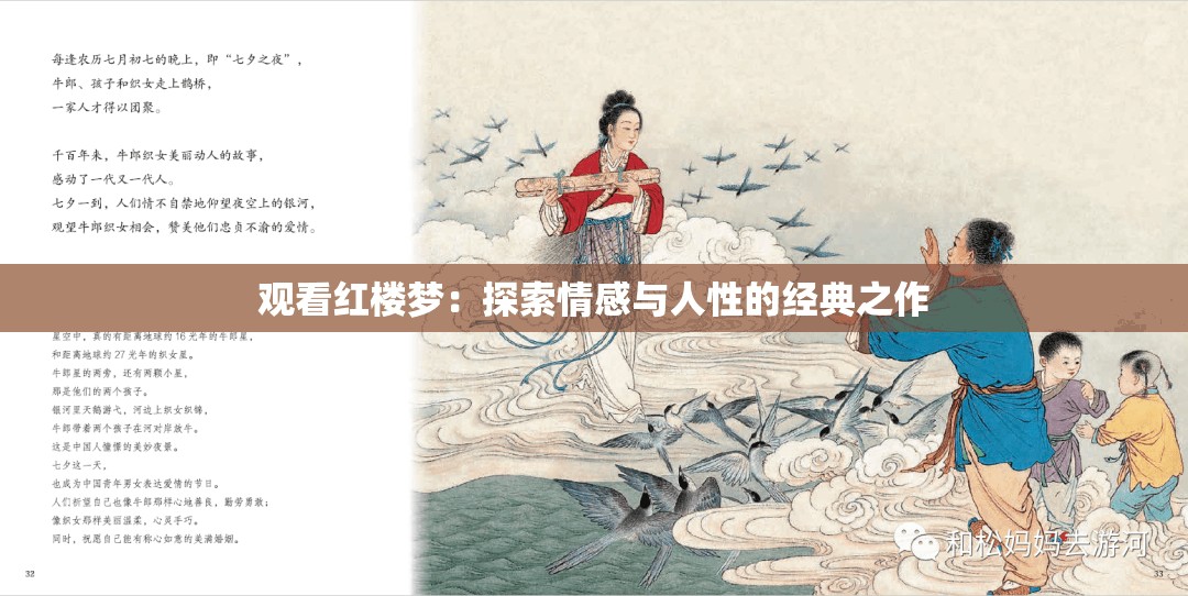 观看红楼梦：探索情感与人性的经典之作