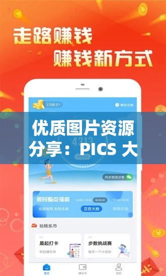 优质图片资源分享：PICS 大全