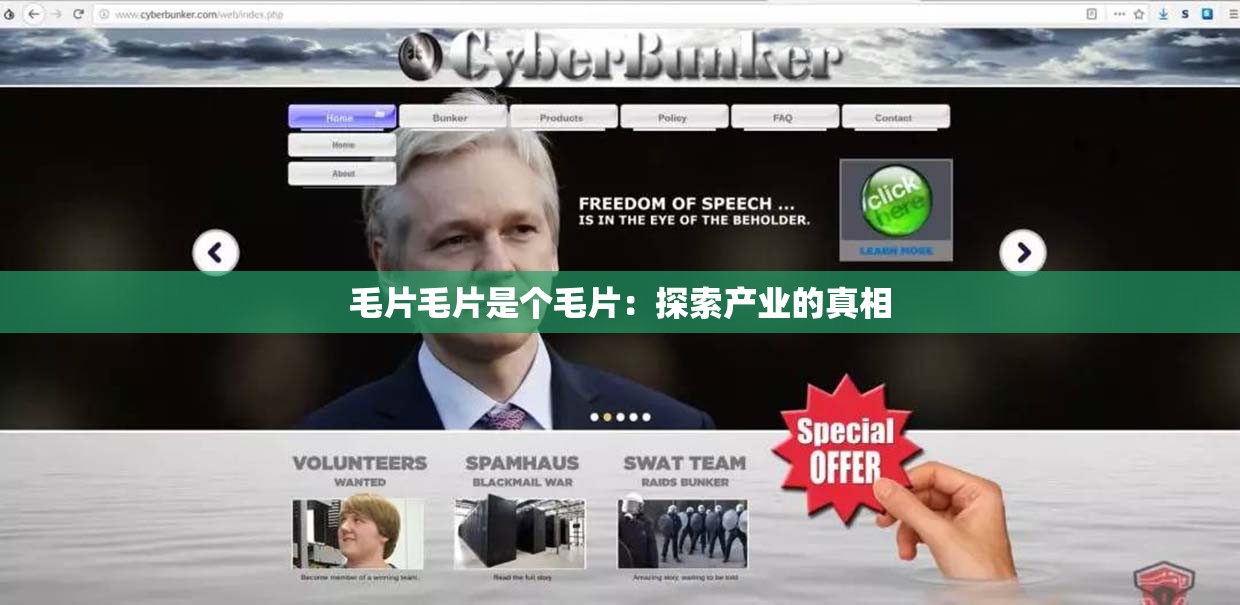 毛片毛片是个毛片：探索产业的真相