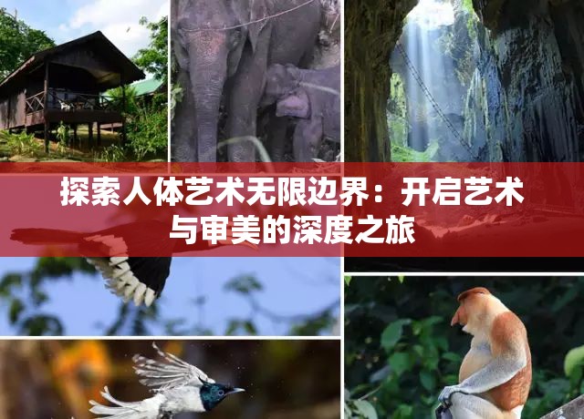 探索人体艺术无限边界：开启艺术与审美的深度之旅