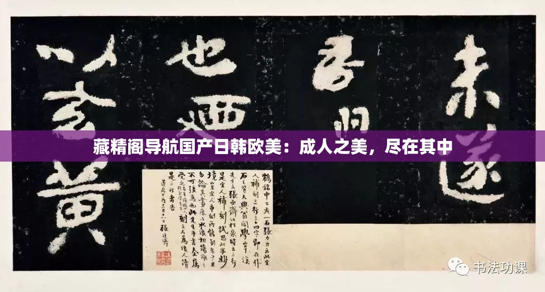 藏精阁导航国产日韩欧美：成人之美，尽在其中