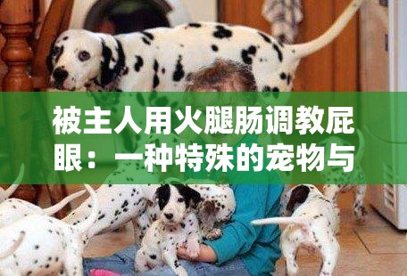 被主人用火腿肠调教屁眼：一种特殊的宠物与主人之间的互动方式