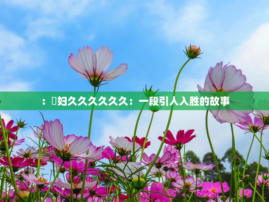 ：婬妇久久久久久久：一段引人入胜的故事