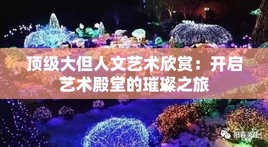 顶级大但人文艺术欣赏：开启艺术殿堂的璀璨之旅