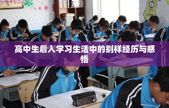高中生后入学习生活中的别样经历与感悟