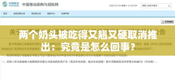 两个奶头被吃得又翘又硬取消推出：究竟是怎么回事？