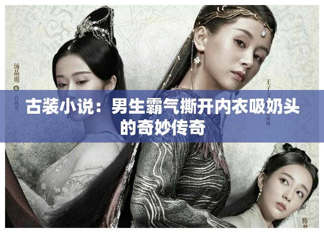 古装小说：男生霸气撕开内衣吸奶头的奇妙传奇
