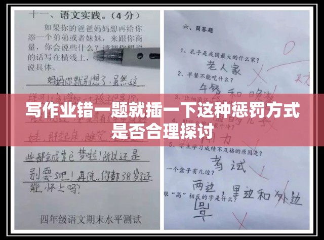 写作业错一题就插一下这种惩罚方式是否合理探讨