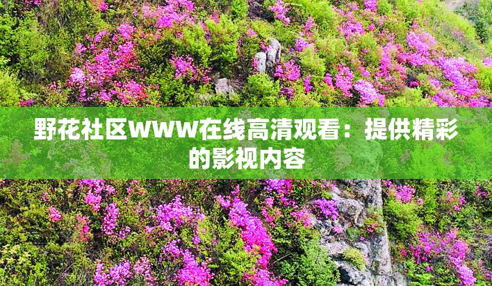 野花社区WWW在线高清观看：提供精彩的影视内容