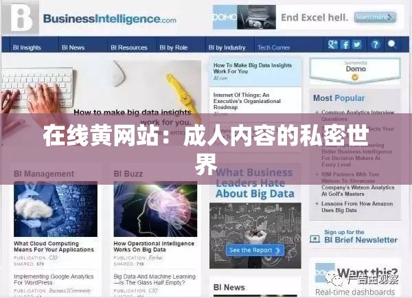在线黄网站：成人内容的私密世界