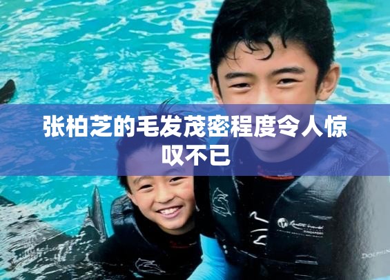 张柏芝的毛发茂密程度令人惊叹不已